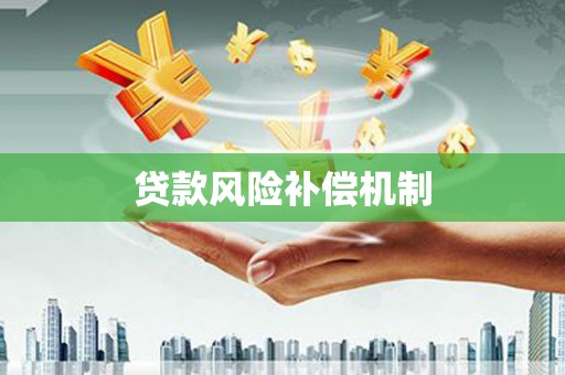 漳州贷款风险补偿机制