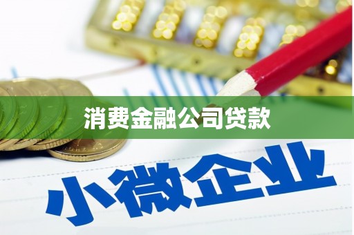漳州消费金融公司贷款