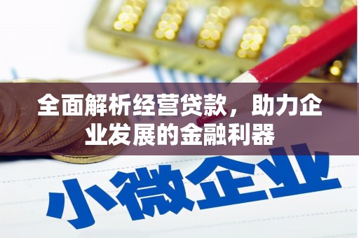 漳州全面解析经营贷款，助力企业发展的金融利器