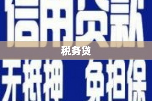 漳州税务贷