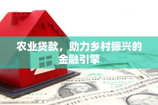 漳州农业贷款，助力乡村振兴的金融引擎
