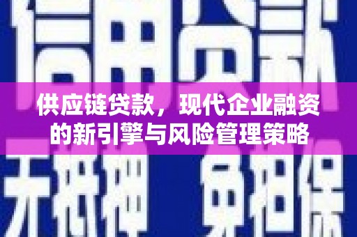 漳州供应链贷款，现代企业融资的新引擎与风险管理策略