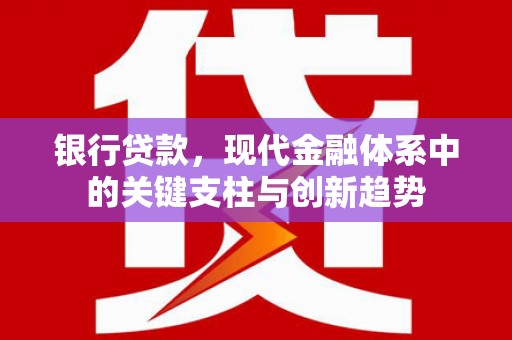 漳州银行贷款，现代金融体系中的关键支柱与创新趋势