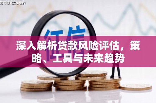 漳州深入解析贷款风险评估，策略、工具与未来趋势