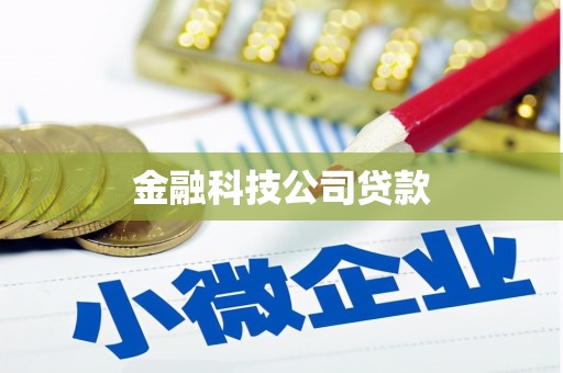 漳州金融科技公司贷款