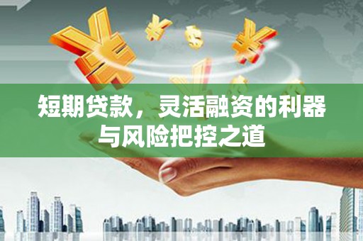 漳州短期贷款，灵活融资的利器与风险把控之道