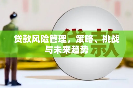 漳州贷款风险管理，策略、挑战与未来趋势