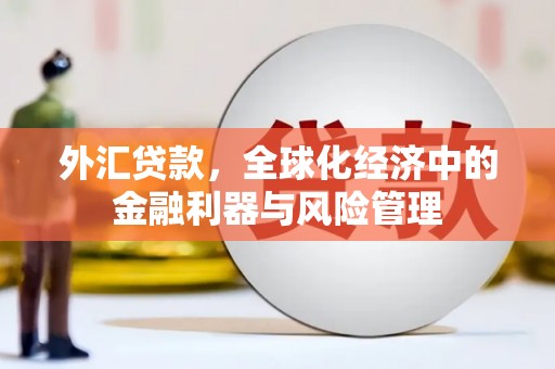漳州外汇贷款，全球化经济中的金融利器与风险管理