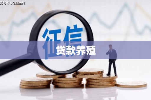 漳州贷款养殖