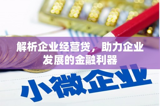 漳州解析企业经营贷，助力企业发展的金融利器