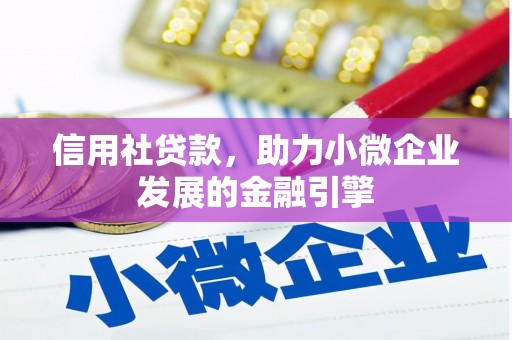 漳州信用社贷款，助力小微企业发展的金融引擎