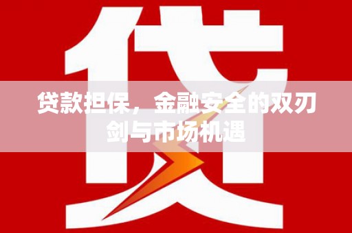 漳州贷款担保，金融安全的双刃剑与市场机遇