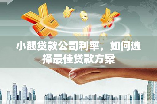 漳州小额贷款公司利率，如何选择最佳贷款方案