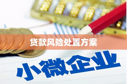 漳州贷款风险处置方案