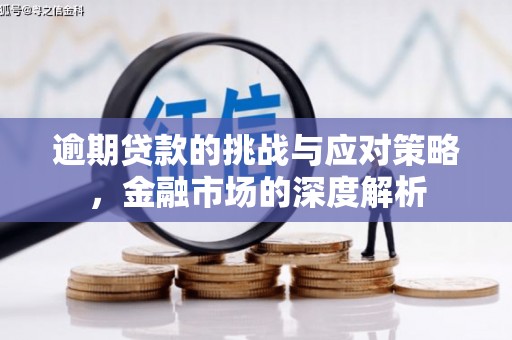 漳州逾期贷款的挑战与应对策略，金融市场的深度解析