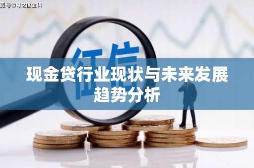 漳州现金贷行业现状与未来发展趋势分析