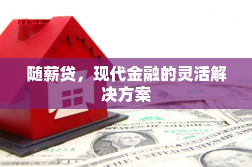 漳州随薪贷，现代金融的灵活解决方案