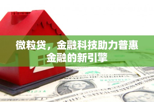 漳州微粒贷，金融科技助力普惠金融的新引擎