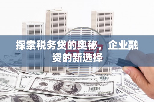 漳州探索税务贷的奥秘，企业融资的新选择