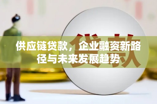 漳州供应链贷款，企业融资新路径与未来发展趋势