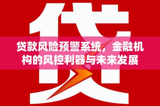 漳州贷款风险预警系统，金融机构的风控利器与未来发展