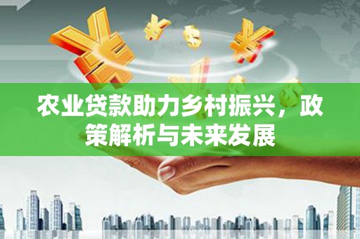 漳州农业贷款助力乡村振兴，政策解析与未来发展
