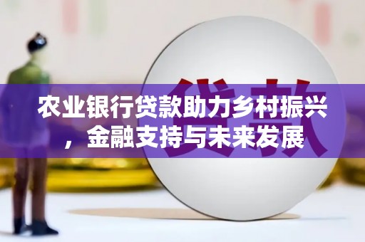 漳州农业银行贷款助力乡村振兴，金融支持与未来发展