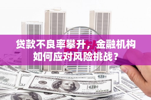 漳州贷款不良率攀升，金融机构如何应对风险挑战？