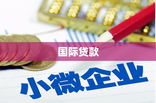 漳州国际贷款