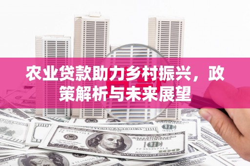 漳州农业贷款助力乡村振兴，政策解析与未来展望