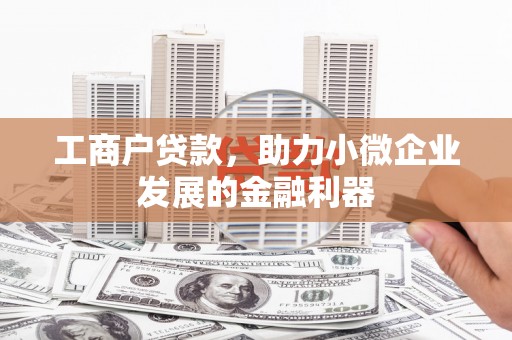 漳州工商户贷款，助力小微企业发展的金融利器
