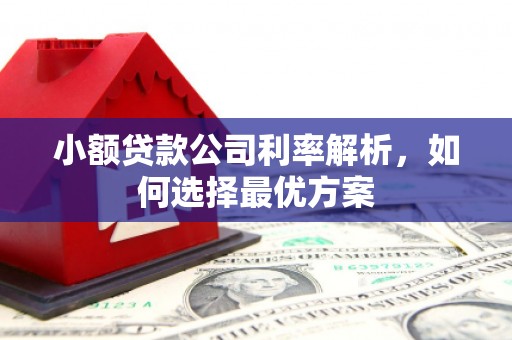漳州小额贷款公司利率解析，如何选择最优方案