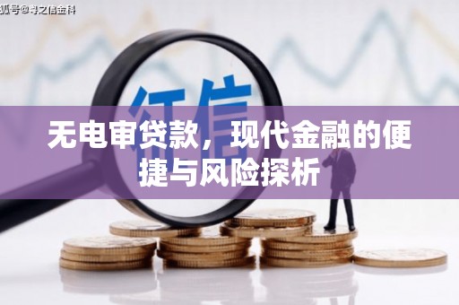 漳州无电审贷款，现代金融的便捷与风险探析
