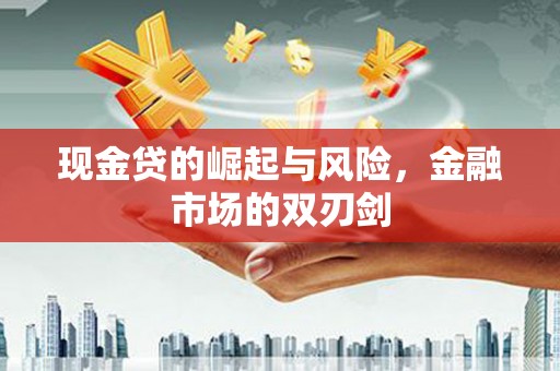 漳州现金贷的崛起与风险，金融市场的双刃剑