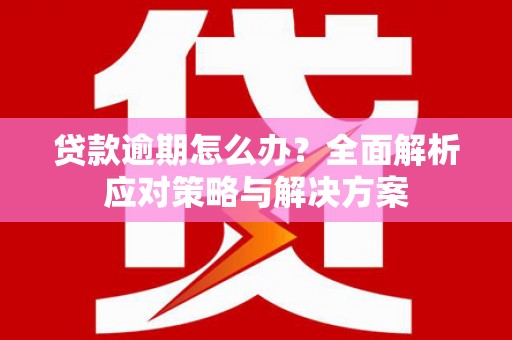 漳州贷款逾期怎么办？全面解析应对策略与解决方案