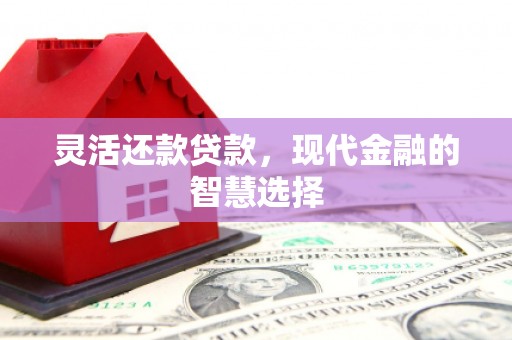 漳州灵活还款贷款，现代金融的智慧选择