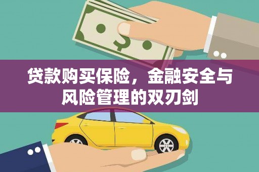 漳州贷款购买保险，金融安全与风险管理的双刃剑