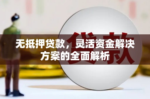 漳州无抵押贷款，灵活资金解决方案的全面解析