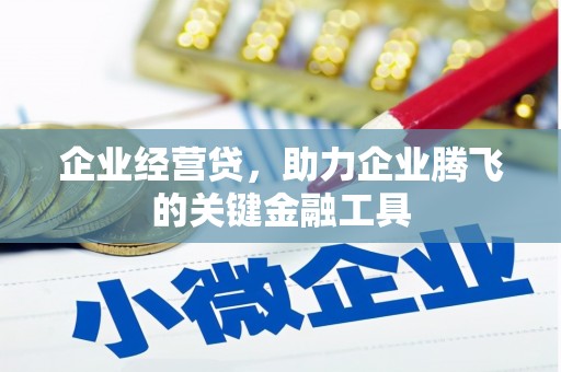 漳州企业经营贷，助力企业腾飞的关键金融工具
