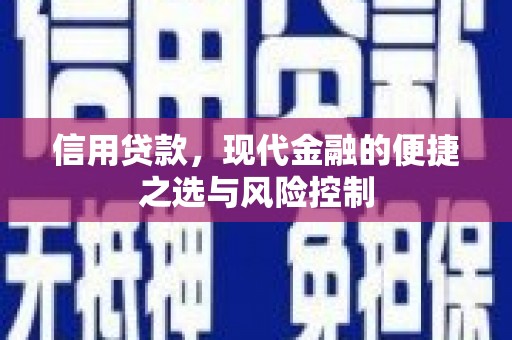 漳州信用贷款，现代金融的便捷之选与风险控制