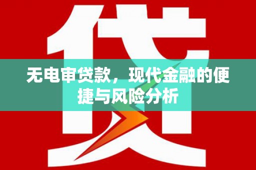 漳州无电审贷款，现代金融的便捷与风险分析