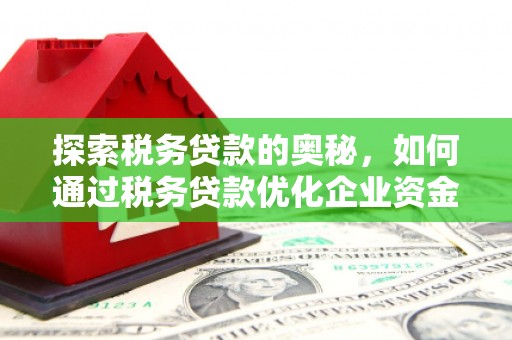 漳州探索税务贷款的奥秘，如何通过税务贷款优化企业资金流