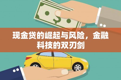漳州现金贷的崛起与风险，金融科技的双刃剑