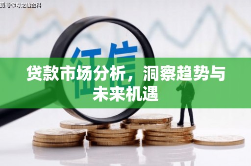 漳州贷款市场分析，洞察趋势与未来机遇