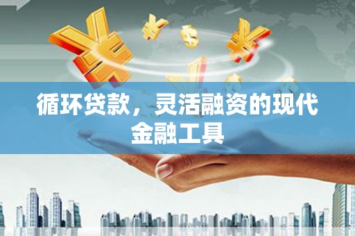 漳州循环贷款，灵活融资的现代金融工具