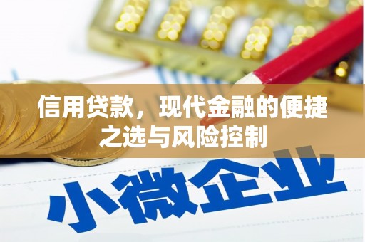 漳州信用贷款，现代金融的便捷之选与风险控制