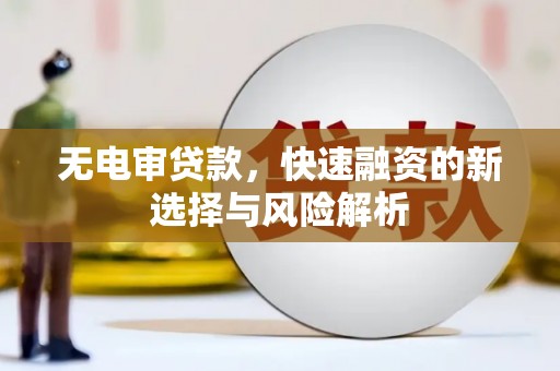 漳州无电审贷款，快速融资的新选择与风险解析