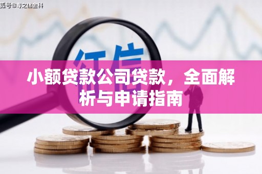 漳州小额贷款公司贷款，全面解析与申请指南