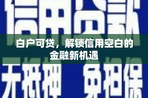 漳州白户可贷，解锁信用空白的金融新机遇