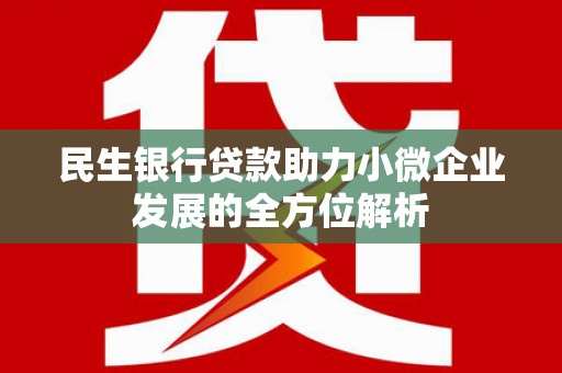 漳州民生银行贷款助力小微企业发展的全方位解析